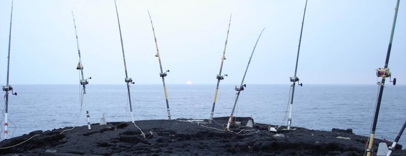 Get Out on the Water with Fishing Reels in Oahu