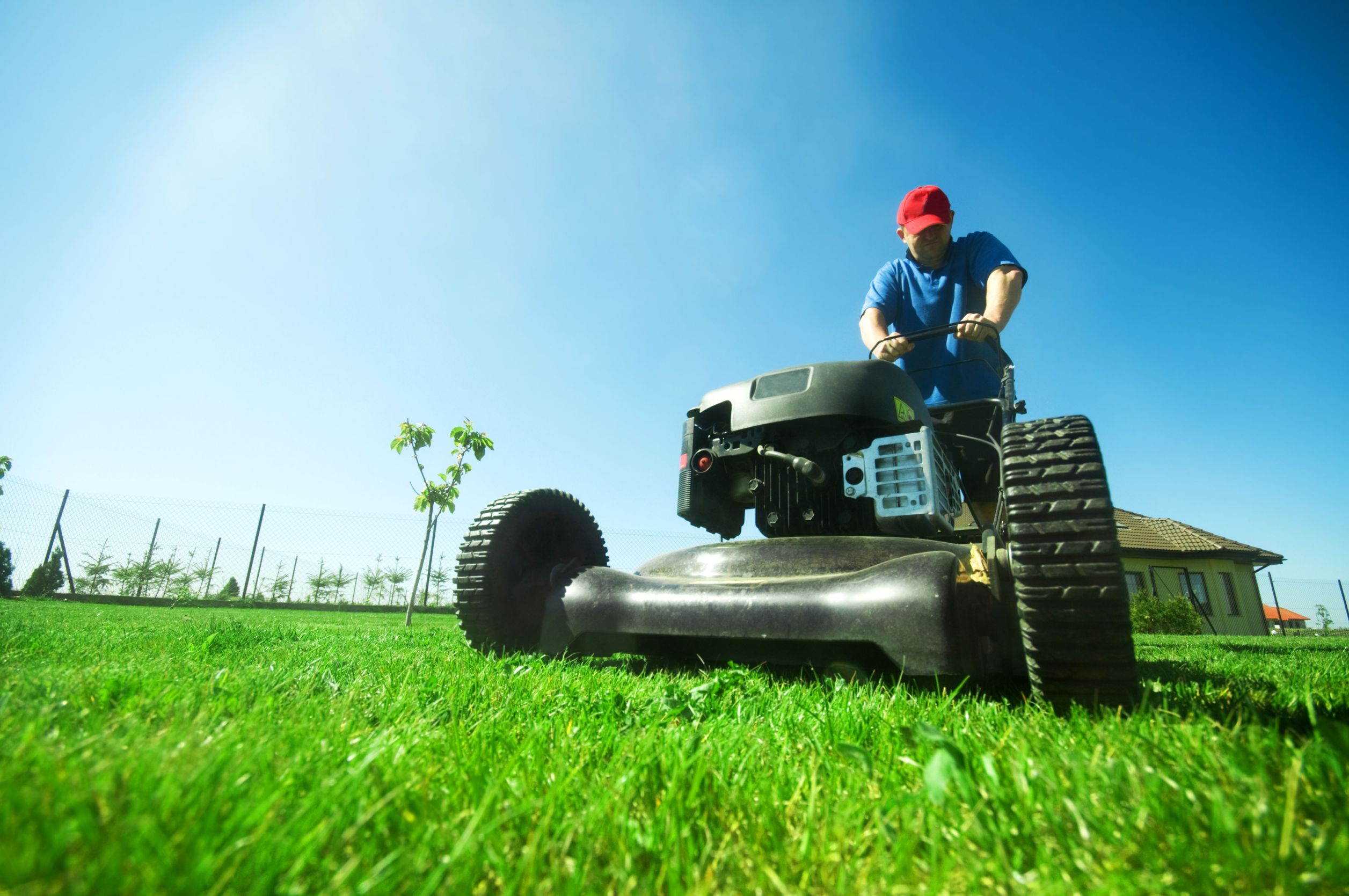 Looking to Fix Grass Brown Patches in Columbus, Georgia?