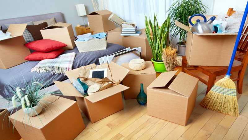 The Benefits of Removal Services for Hoarders in Los Angeles