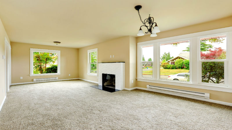 What Should You Look for in Carpet Cleaners in Cabot, AR?