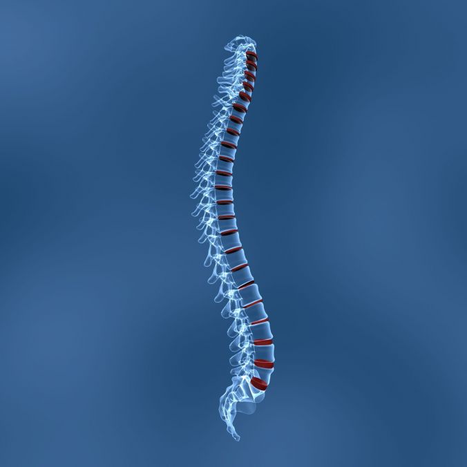 Common Causes of Spinal Injuries Seen Today - Earticles Web