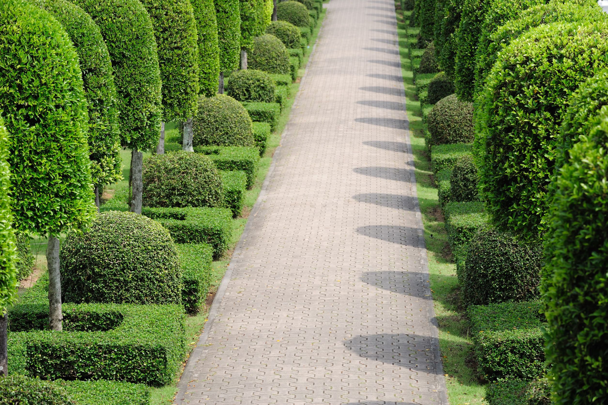 Find Experienced Commercial Landscaping Services in Maryland