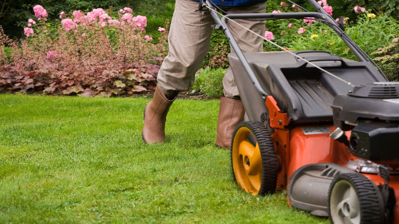 Finding Affordable Lawn Care in Jeffersonville, IN