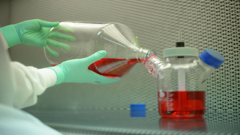 The Benefits of Using a Mammalian Cell Culture