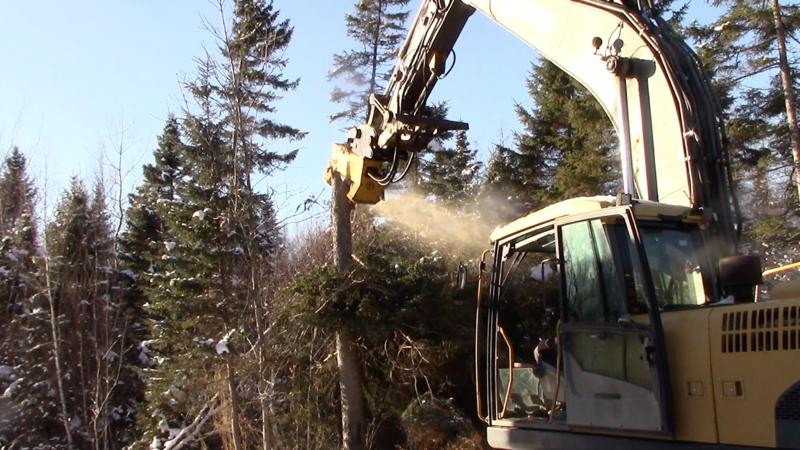 A Mini Excavator Brush Cutter Pays Off