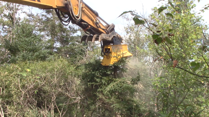 Using a Mini Excavator Brush Cutter