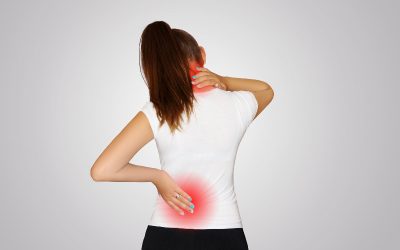 Learn More About Your Back Before Back Pain Treatment in Madison, WI