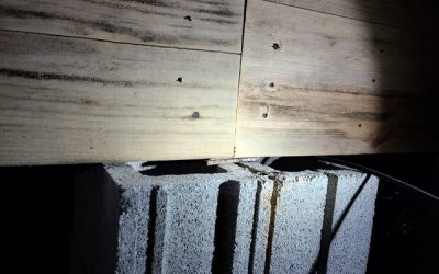 It’s Best to Call Professionals to Get Help with Crawl Space Repair in Louisville Now