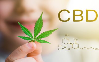 Understanding the CBD Marketing Companies