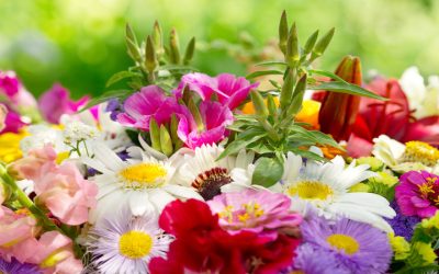 Unique Flower Arrangements In Clermont FL Are A Thoughtful Way To Share Sympathy