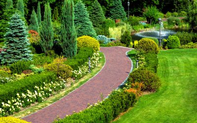 Enhancing Green Spaces: The Role of Professional Landscaping Services in Sacramento, CA