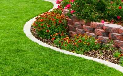 How Decorative Curbing in Marshall, WI, Can Elevate Your Property’s Aesthetic with Style and Functionality